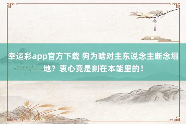 幸运彩app官方下载 狗为啥对主东说念主断念塌地？衷心竟是刻在本能里的！
