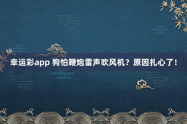 幸运彩app 狗怕鞭炮雷声吹风机？原因扎心了！