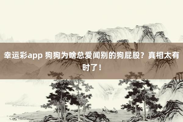 幸运彩app 狗狗为啥总爱闻别的狗屁股？真相太有时了！
