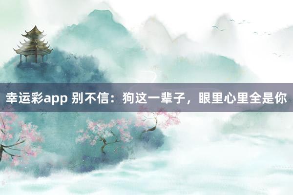 幸运彩app 别不信：狗这一辈子，眼里心里全是你