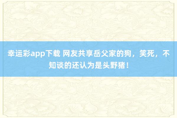 幸运彩app下载 网友共享岳父家的狗，笑死，不知谈的还认为是头野猪！