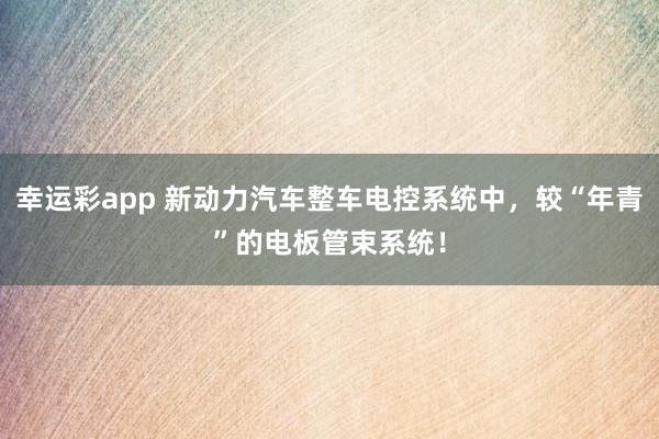幸运彩app 新动力汽车整车电控系统中，较“年青”的电板管束系统！