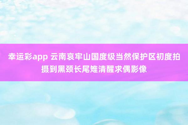 幸运彩app 云南哀牢山国度级当然保护区初度拍摄到黑颈长尾雉清醒求偶影像