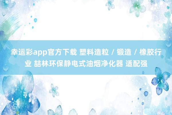 幸运彩app官方下载 塑料造粒 / 锻造 / 橡胶行业 喆林环保静电式油烟净化器 适配强