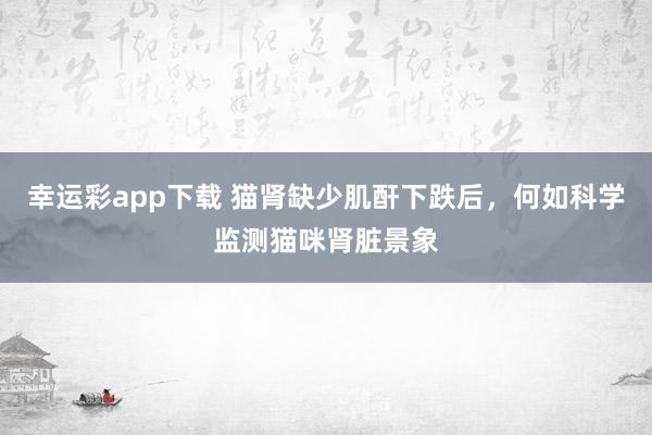 幸运彩app下载 猫肾缺少肌酐下跌后，何如科学监测猫咪肾脏景象