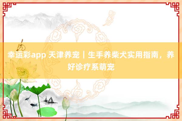幸运彩app 天津养宠｜生手养柴犬实用指南，养好诊疗系萌宠