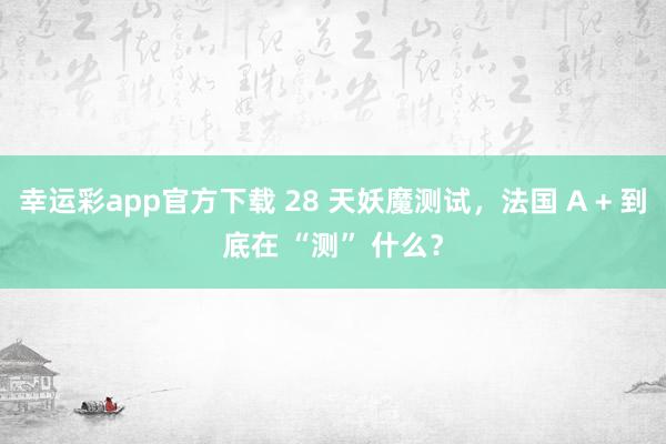幸运彩app官方下载 28 天妖魔测试，法国 A + 到底在 “测” 什么？